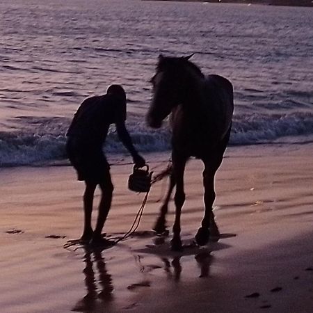 Paradisplage, 1 Minute De La Mer Сали-Портудал Экстерьер фото